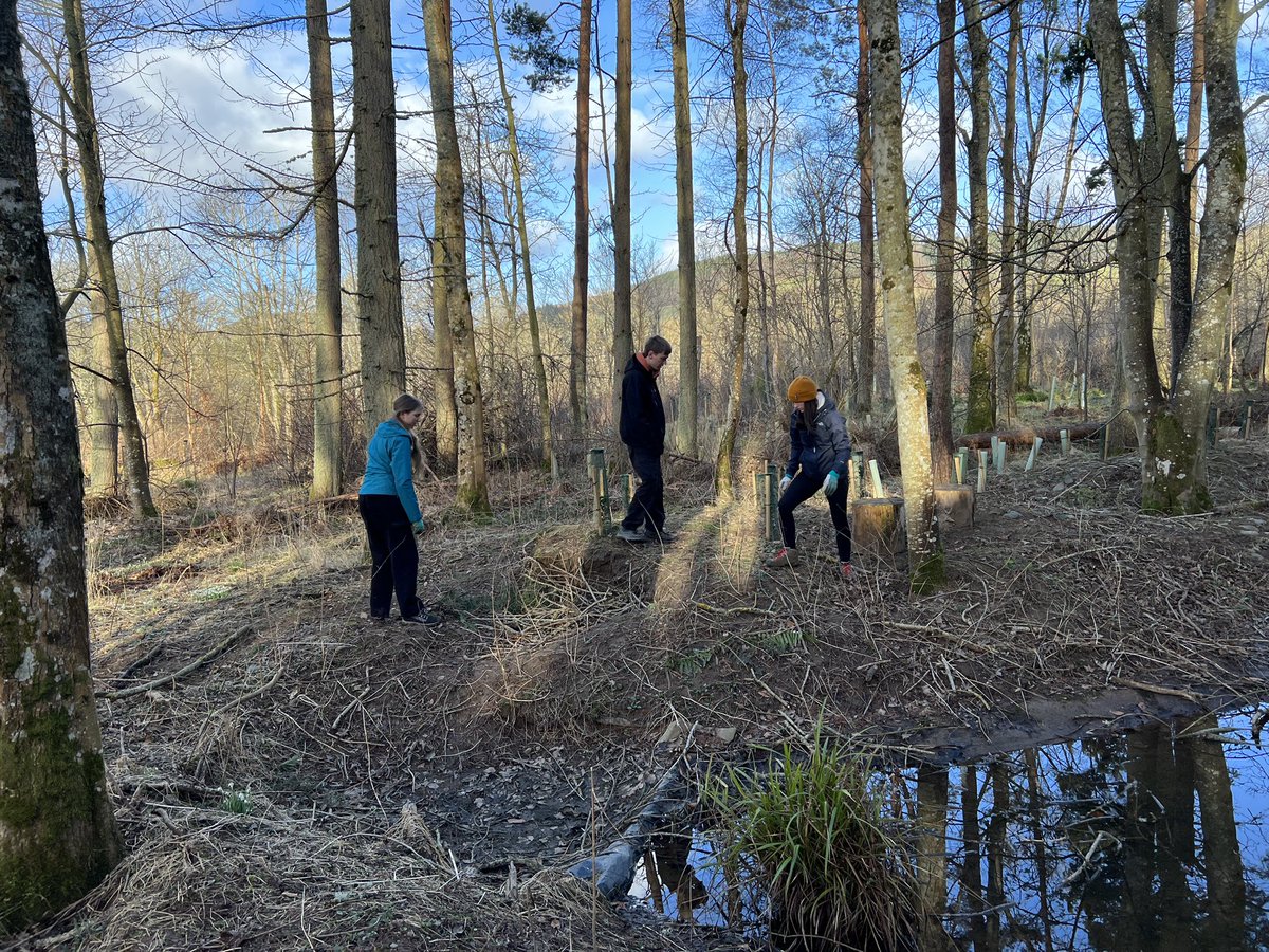 Go Wild Scotland Ranger tweet media
