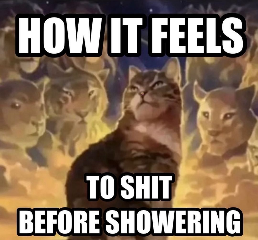 hourly_shitpost's tweet photo. https://t.co/tAiA1iTcy1