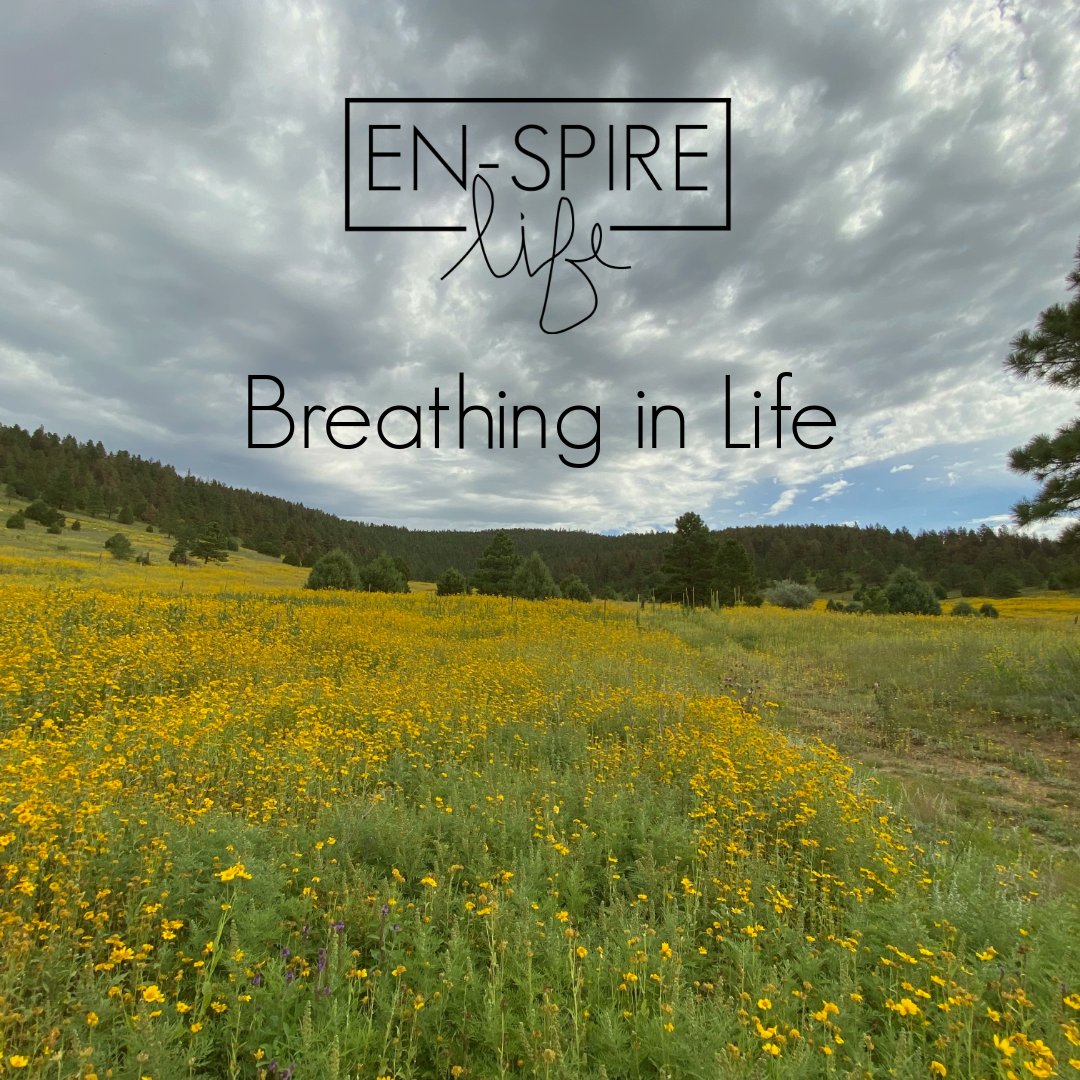 How did I pick the name En-Spire Life? I was leaning towards the word “Inspire.' I looked at different languages and found “enspire” in Haitian Creole. The meaning of “enspire” is to “breathe in.” How can I help you “En-Spire (breathe in) Life?” Let’s connect and let’s breathe!