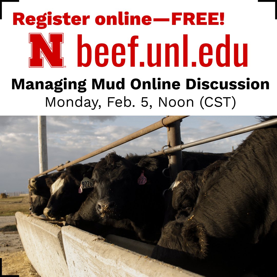 UNL Beef tweet media