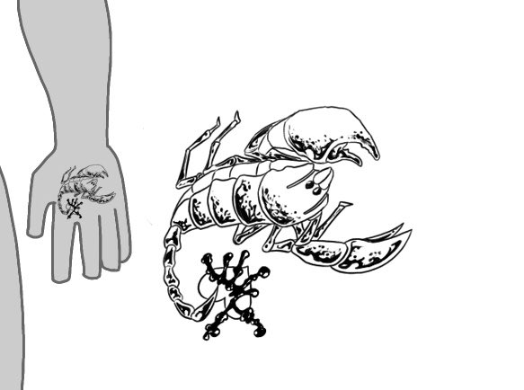 とりあえず一番見えるとこだけ描いてみた、合ってるかは分からないけど参考になれば…!
しかしタトゥー2個で一時間くらいかかったから全部メモるとなると…😇 