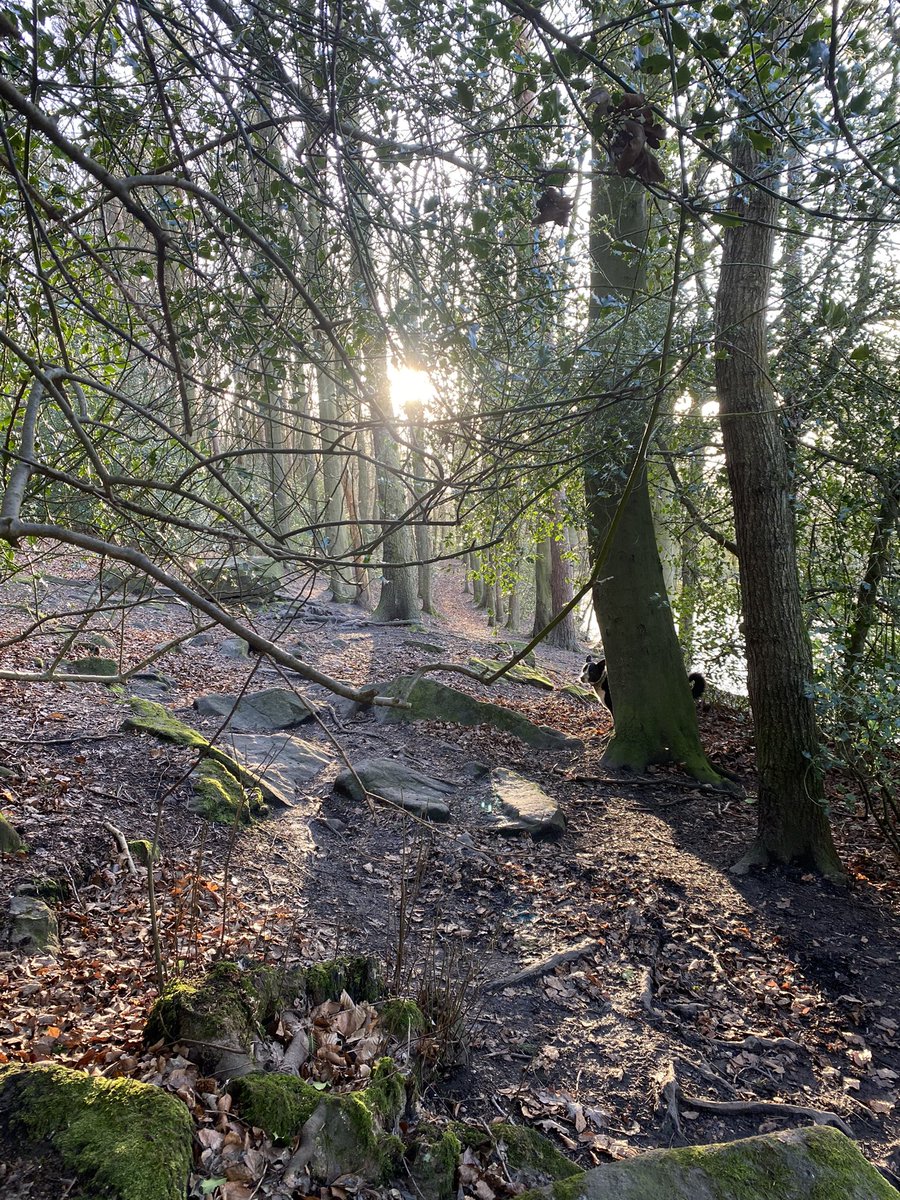 Sunny and crisp , can you see the dog?