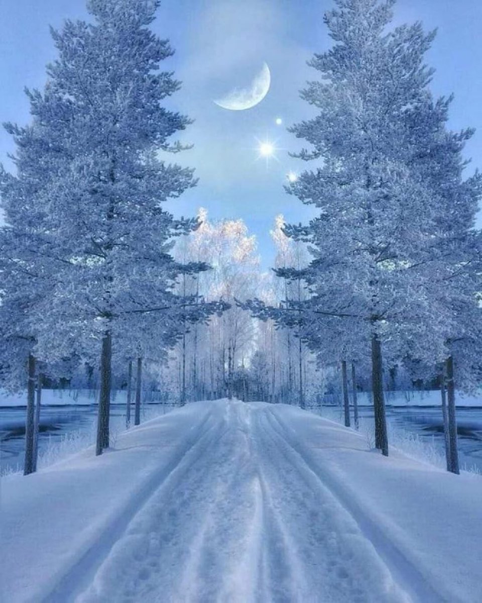M1ONLOVER's tweet photo. Winter Moon. https://t.co/r2nCtZERgR