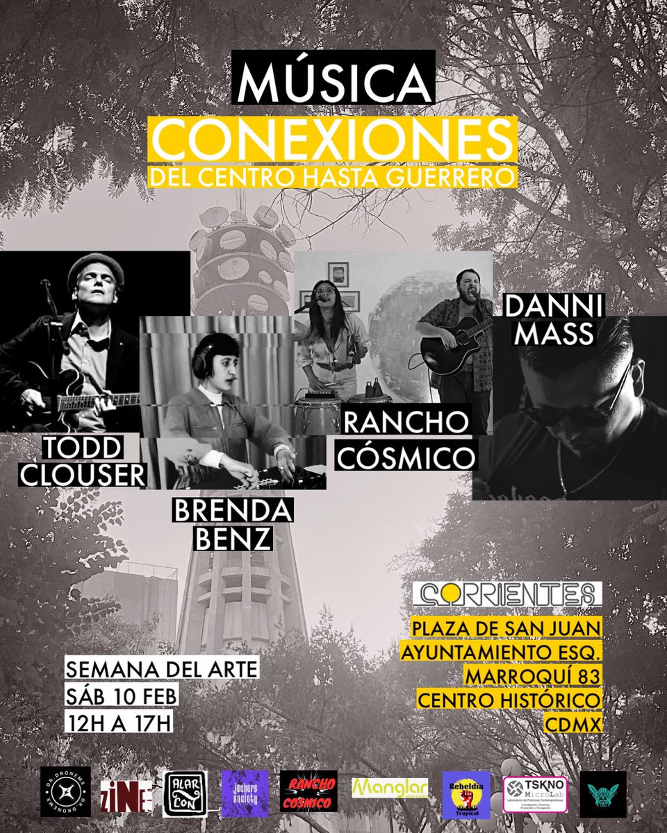 begoña colomar tweet media