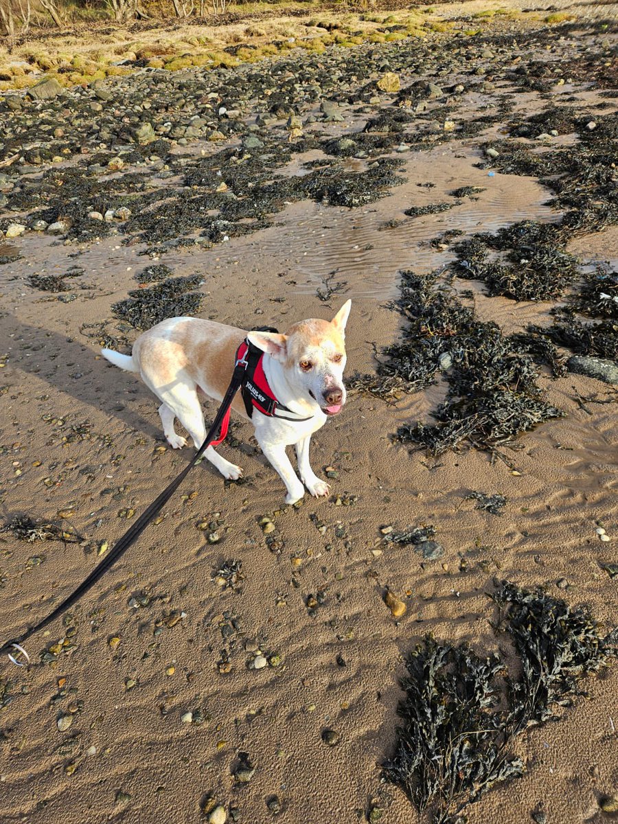 Niall Harbison tweet media