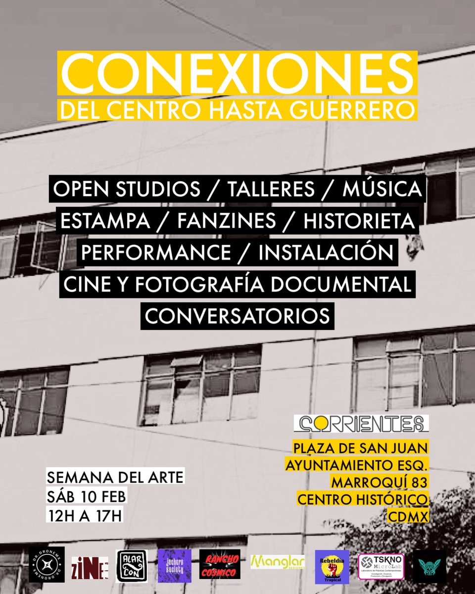 begoña colomar tweet media