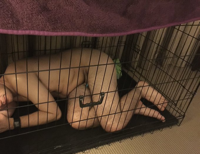 I&rsquo;ve done sooooo many hotel / apartment stays where I&rsquo;ve kept bitches by My bed in dog cages..  Hope<a href="/tag/latexfetish"class="tags"><span>#latexfetish</span></a>
