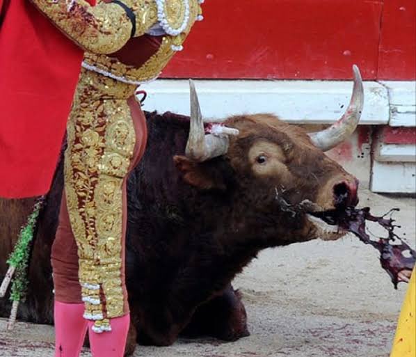¿Dónde le ven el arte? 
 
       Esto por donde lo vean se le llama    
                           crueldad