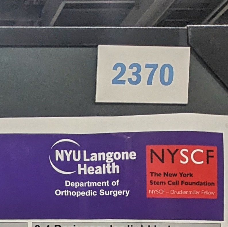 <a href="/PhilippLeuchtMD/">Philipp Leucht, MD</a> lab at <a href="/ORSsociety/">Orthopaedic Research Society</a> 2024 meeting. If you want to see pretty bone microscopy 🤩 come speak to me about bone 🦴 marrow fat 🐷 this morning @ 10.15am. Poster #2370 <a href="/MargauxSambon/">Sambon Margaux</a> <a href="/nyscf/">New York Stem Cell Foundation Research Institute</a> <a href="/nyulangoneortho/">NYU Langone Orthopedics</a> <a href="/nyugrossman/">NYU Grossman School of Medicine</a>
