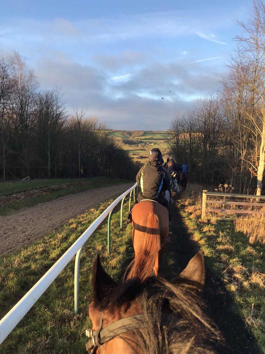 IssyBudge's tweet photo. From South Africa with @VenatourRacing to riding out @FOBRacing #worldtraveller #HorseRacing #livingmybestlifre https://t.co/jTNvgdeMX3
