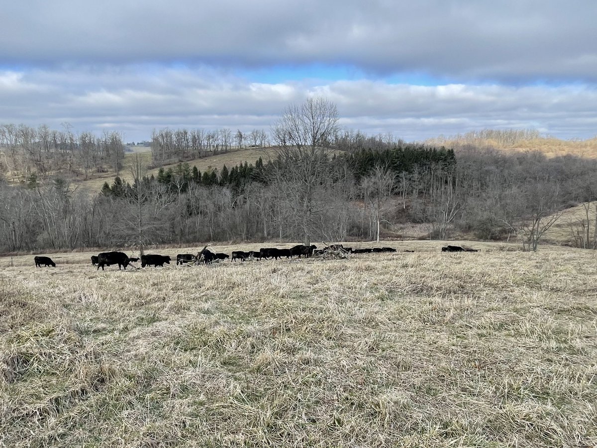 SB Nemo Farm tweet media