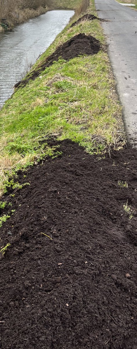 stephen_bos's tweet photo. Vindt het toch bijzonder dat je als gemeente @HollandsKroon geen bemestings vrije zone heb. De compost spoelt zo in de sloot🙃 https://t.co/hwOb2gpmH5