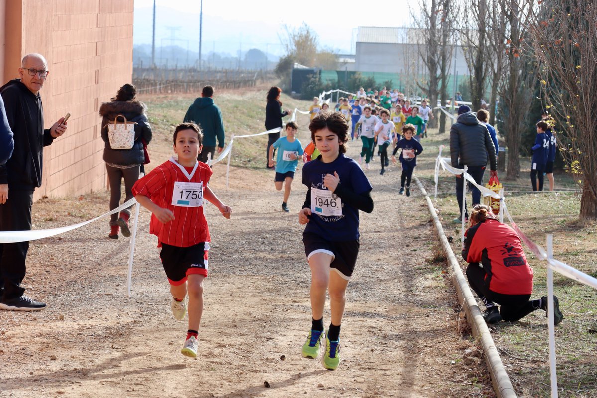 HoPierola's tweet photo. 🟦📢 400 participants aquest dissabte als Hostalets, que ha acollit el Cros Comarcal , el 15è Cros Escolar i la 20a Cursa Popular, en una jornada que ha gaudit d'un gran ambient i una meterologia esplèndida.

📸 Més imatges a https://t.co/OGbq9N2R2p

@consellanoia #hopierola https://t.co/268TdBfEyC