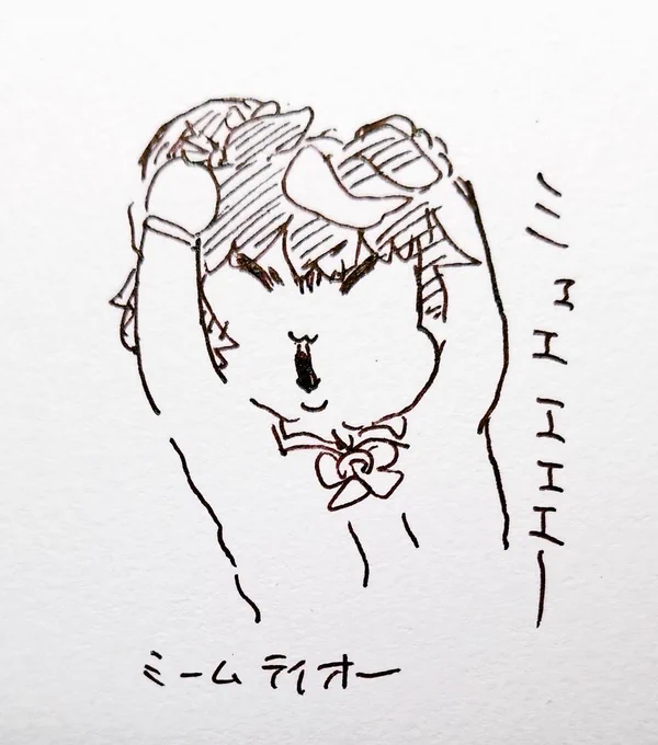 猫ミームテイオー