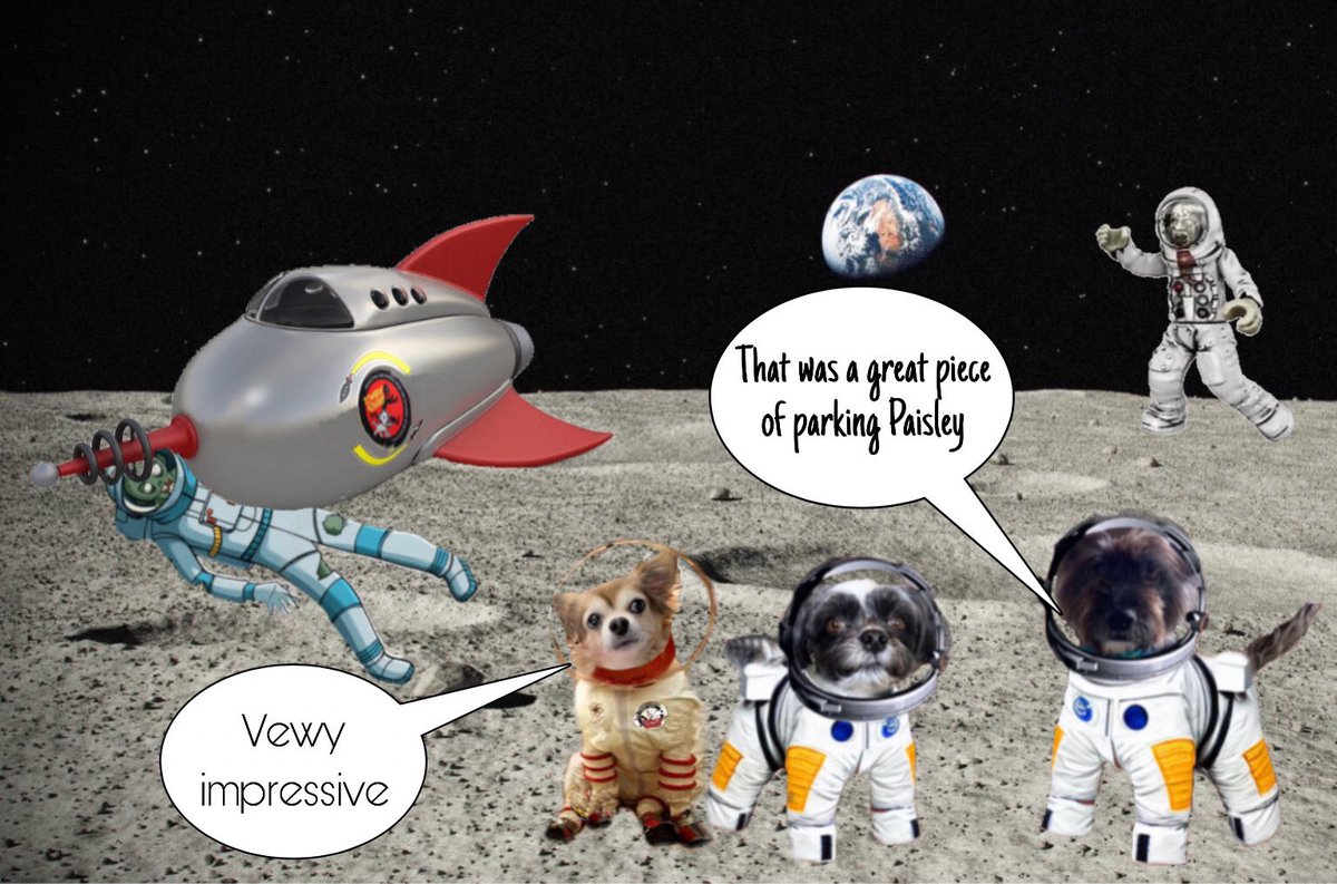 😂🤣 women dwivers 🫢🚀 #zzst @jackiewhitting5 @BeanPaisley @HarrynPogue #zzst