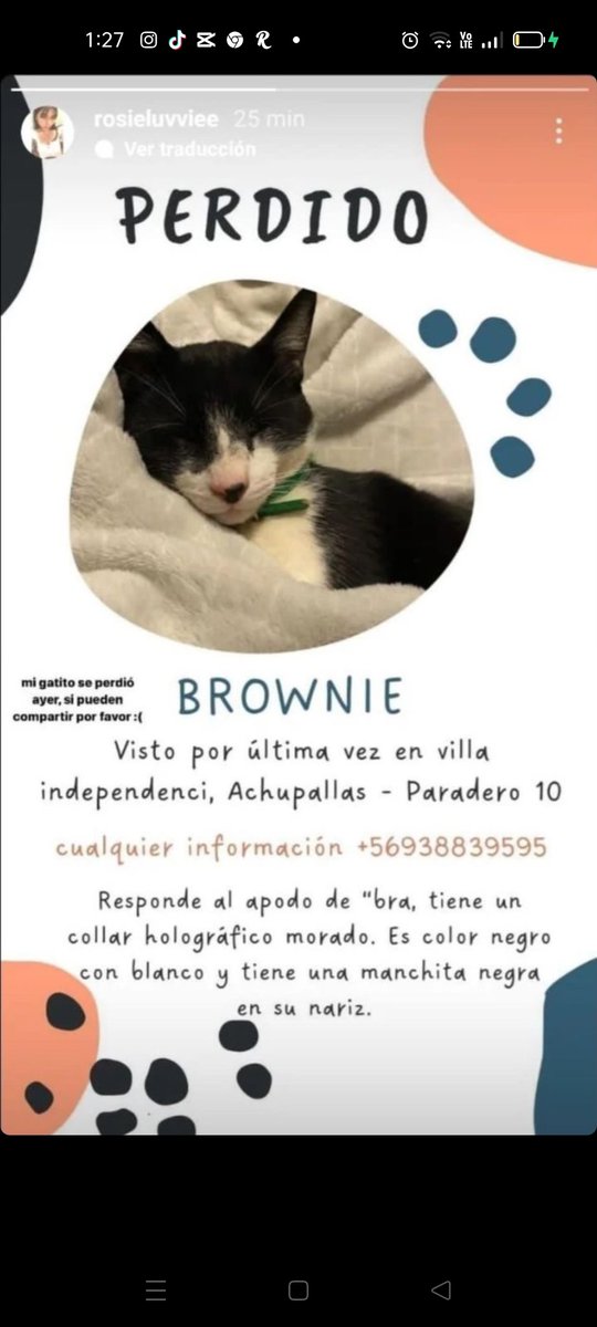 𝒜𝒹𝒶 𝒞. ★・❥・🌻𝓜𝓲 𝓒𝓻𝓾𝓼𝓱 𝓒𝓱𝓪𝓻 𝓐.🐰 tweet media