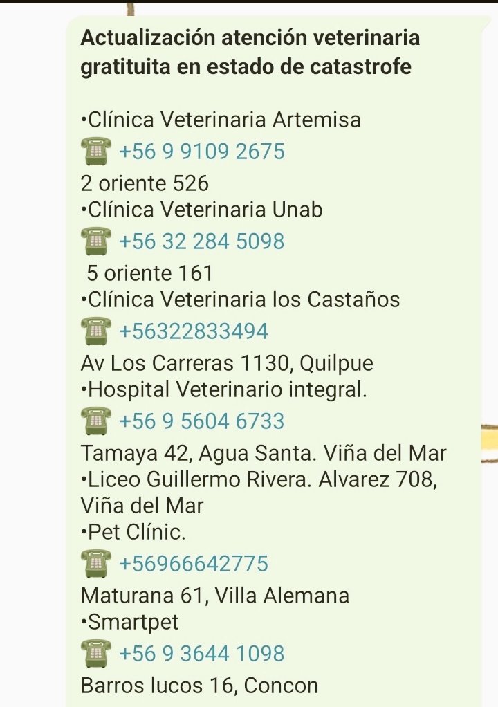 LeoVieyra_'s tweet photo. Datos de clínicas que están recibiendo animales afectados!

Difundir! 
#mascotasincendio #incendio #valparaiso #vinadelmar #quilpue #VillaAlemana #catastrofe https://t.co/GPZKYgjuOk