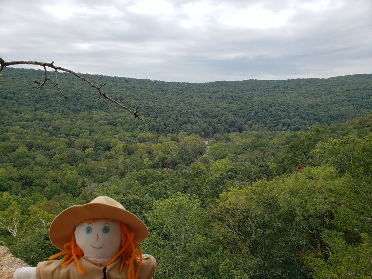 RangerSarahAdv's tweet photo. Ranger Sarah with the view down the valley from the Yellow Rock Overlook. Devil's Den State Park - Arkansas.

#adventuresofrangersarah #rangersarah #hike #hikingtrails #hikingadventures #hiking #hikearkansas #Arkansas #arkansasstateparks #devilsdenstatepark https://t.co/xYpnKbVykJ