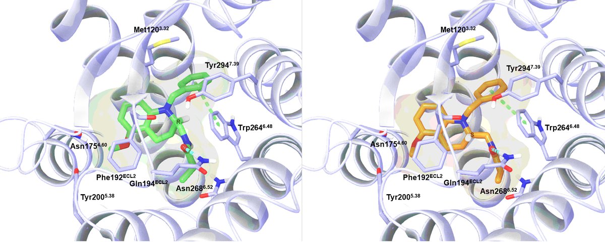 Our paper on binding kinetics of #melatonin receptors now on the Journal of Pineal Research @WileyNeuro provides new data from radioligand dissociation, corroborated by free-energy simulations. UCM1014 in enantiopure form is also tested for the first time.tinyurl.com/yfhjzd6p