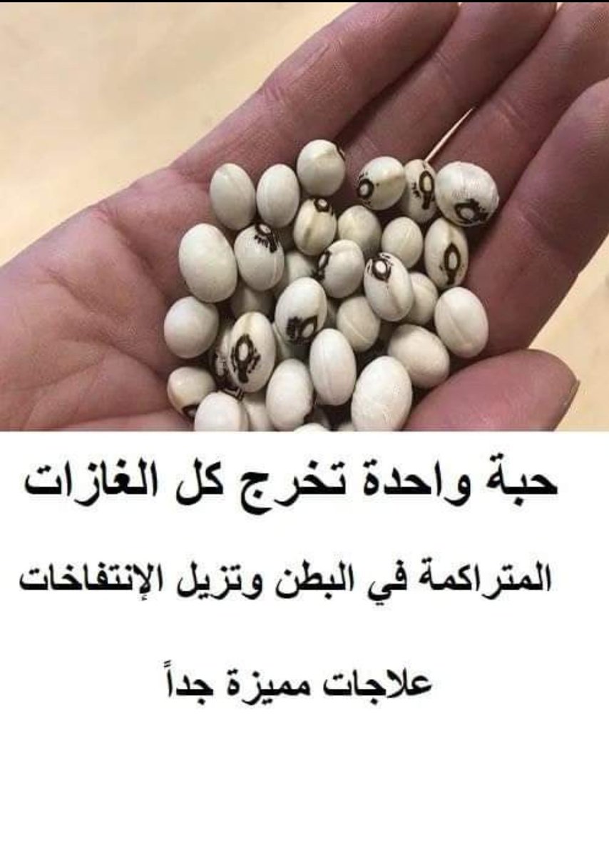catchy_9's tweet photo. ثريد:

🔥عشبة المعجزة يمنع انتشار السرطان طاردة للغازات من الامعاء التقليل من التهاب المفاصل وفوائد مذهلة للذكورة عند الرجال والخصوبة 

فضل التغريدة وتابـع السـرد 💚 https://t.co/nScanWYLAl