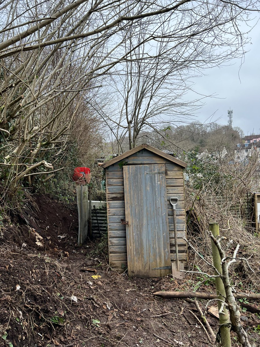 And all of a sudden, we reached the top of the list for an allotment - a few minutes from home and alongside NT woods. This gift could not have come at a better time. Plot 3A deffo needs some TLC… we made a start today 🦔