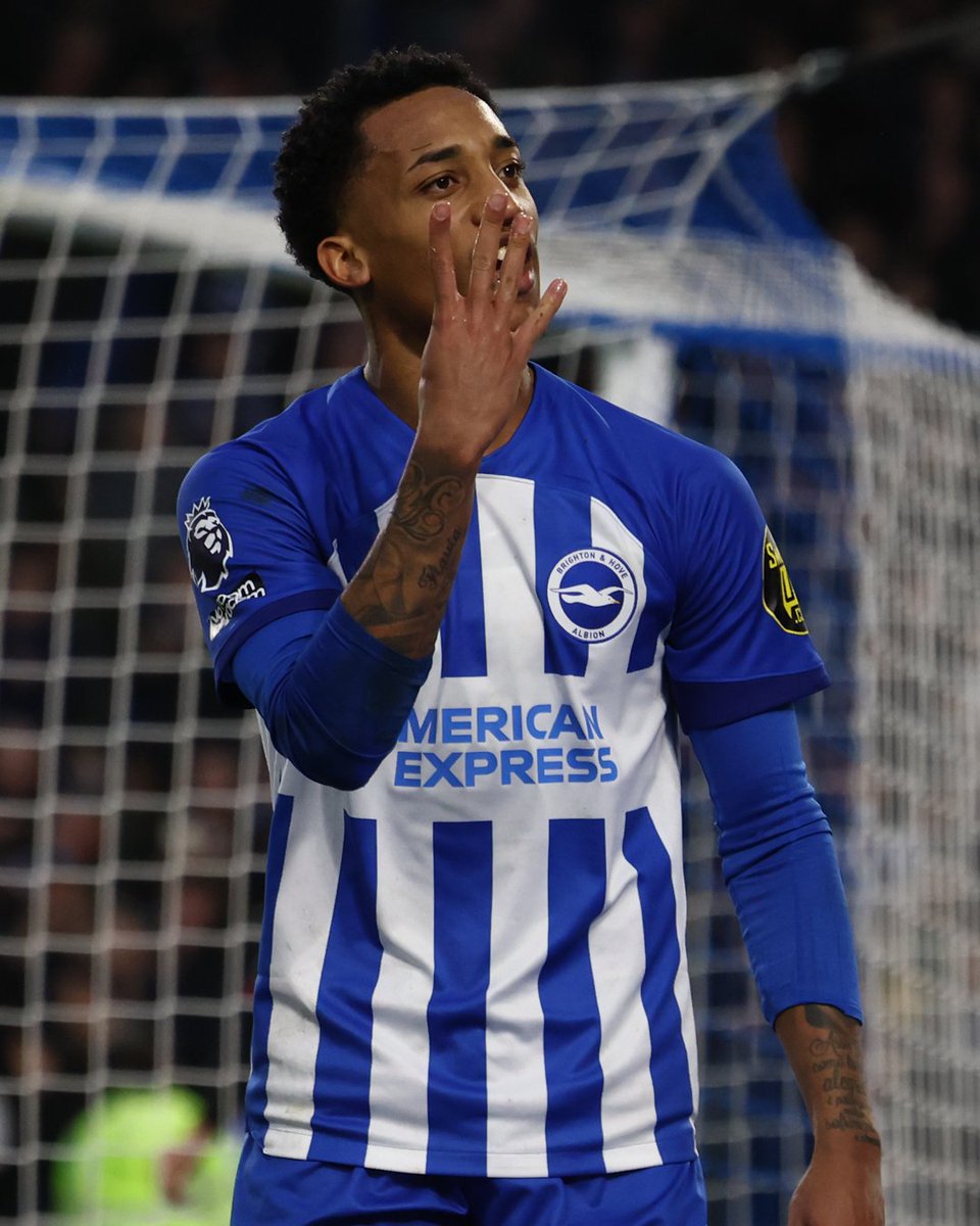 Brighton & Hove Albion tweet media