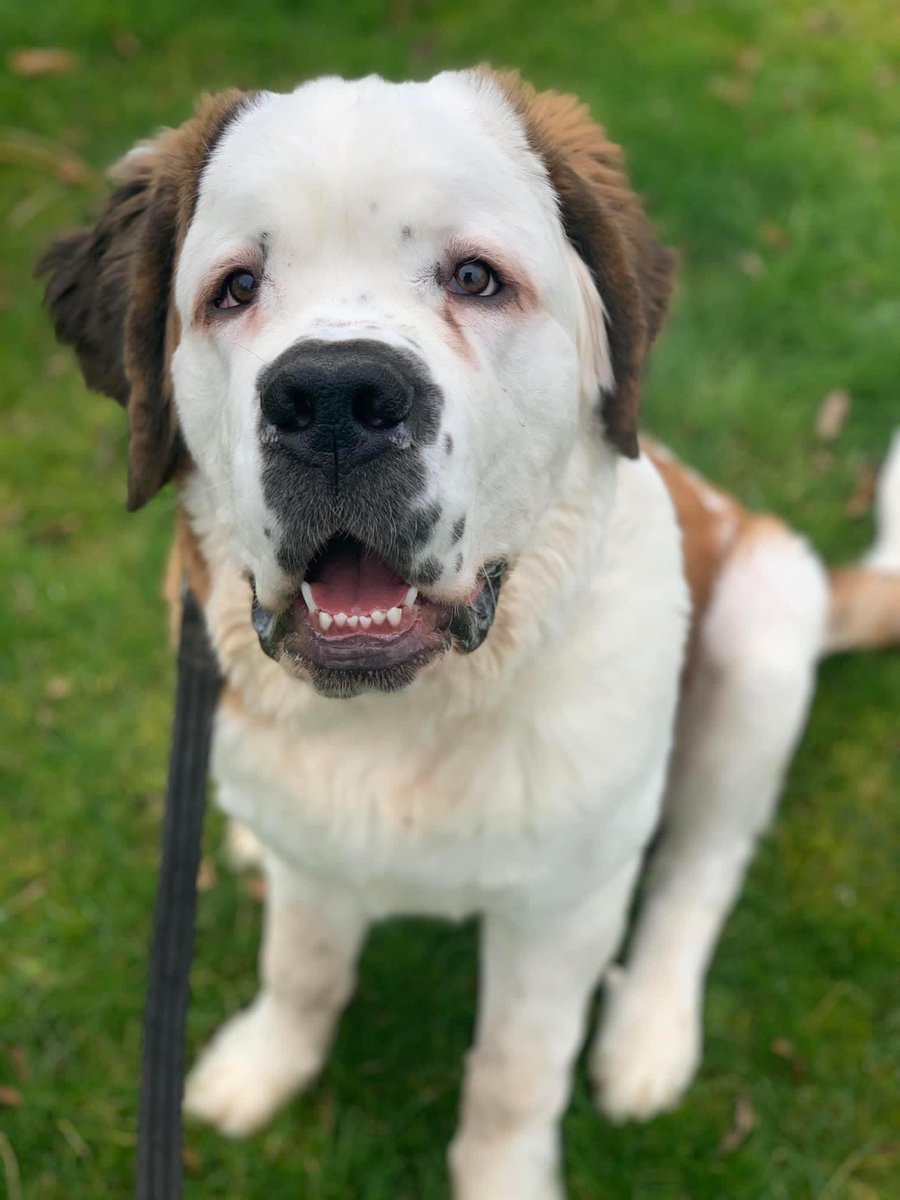 The best way to escape the never ending to do list! 🐾🧡