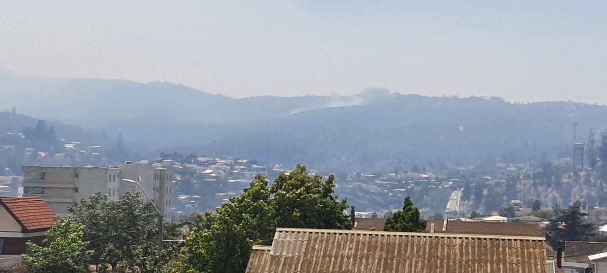 kattycornejo's tweet photo. @quilpueciudad 
@conaf_minagri 
@SERNAPRE 
Por favor detener foco en sector de Quilpué!!
En pocos minutos ha avanzado mucho https://t.co/fkz3q8xj9A