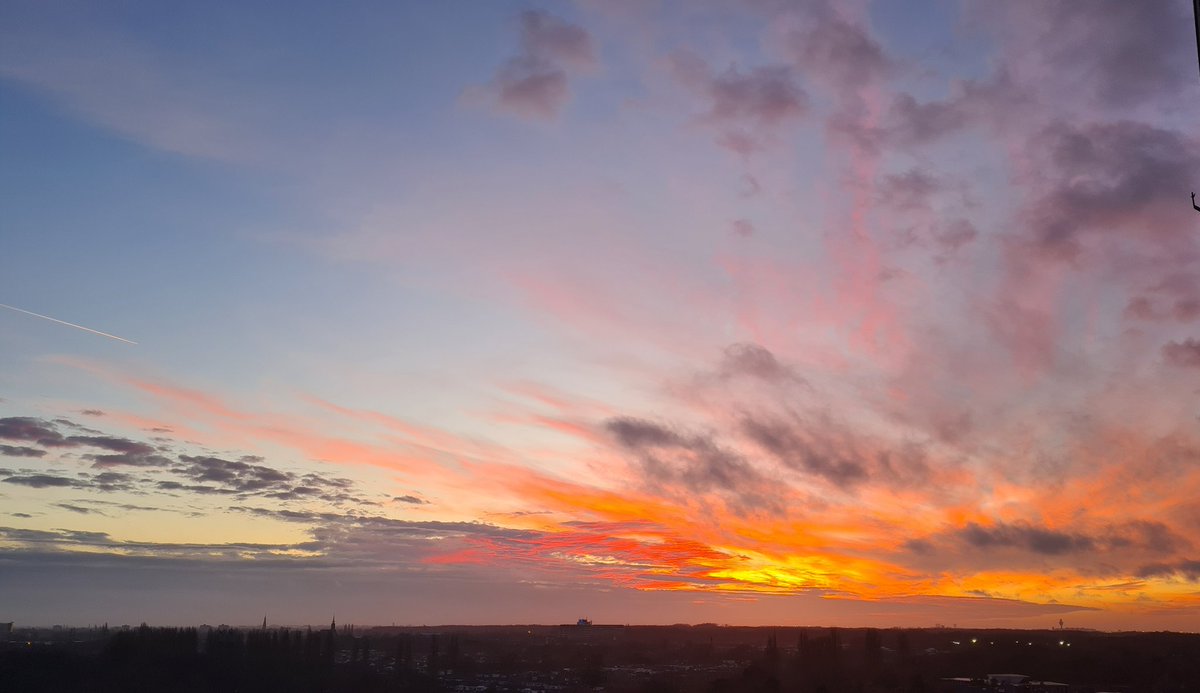 Burn so you can rise again ❤️‍🔥
#Life
#Strength
#Amstelveen