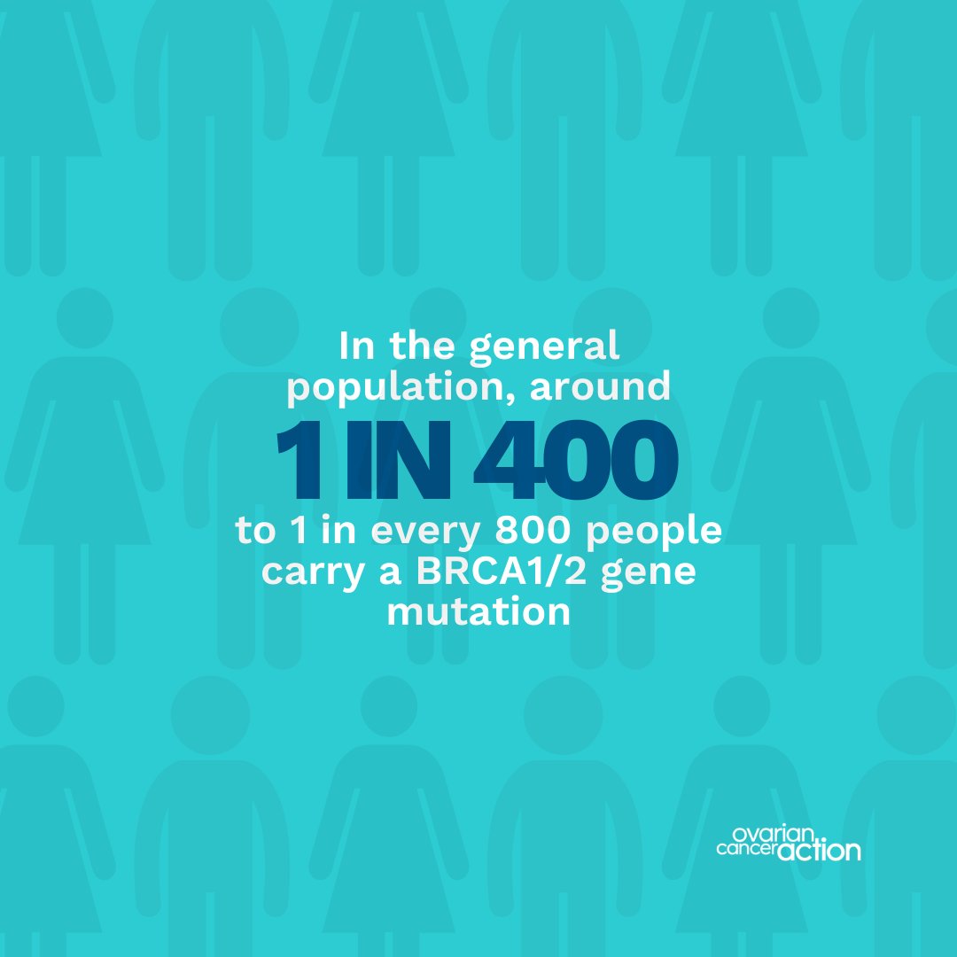 OvarianCancerUK's tweet photo. The BRCA genes, BRCA1 and BRCA2, can play a crucial role in determining ovarian cancer risk. 🧬 It's not just about understanding the risks; it's about giving people the knowledge they need to get tested 💙 https://t.co/fFyDFgR6HI