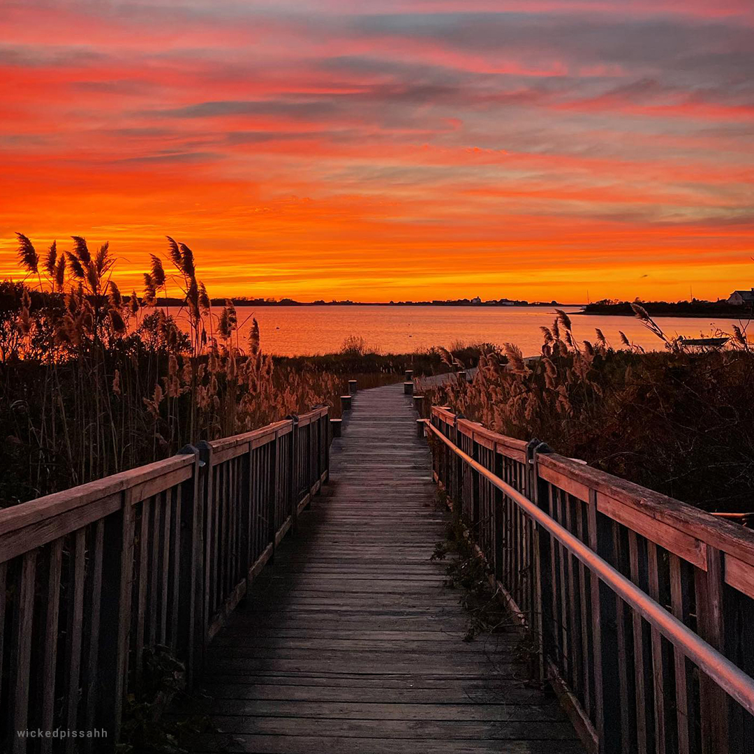 BlockIsleFerry's tweet photo. Embrace the serene beauty of winter on Block Island! Check out our latest blog on the enchanting natural sites that come alive this season. https://t.co/78En5btlLN
#WinterWonders #ExploreBlockIsland #BIF #BlockIslandFerry #BlockIsland #SailAway https://t.co/6LqR7PMDiy
