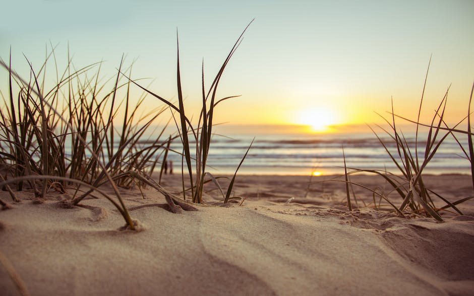 CCHCCareers's tweet photo. As we all know Cape Cod is a summertime paradise, but now with the new Margaritaville Resort opening in the summer of 2024, you can experience a bit of that summertime paradise even in the offseason!  
 
Margaritaville Resort:
https://t.co/NU6prlaOlh

#capecod #margaritaville https://t.co/VlAkt0OPqm