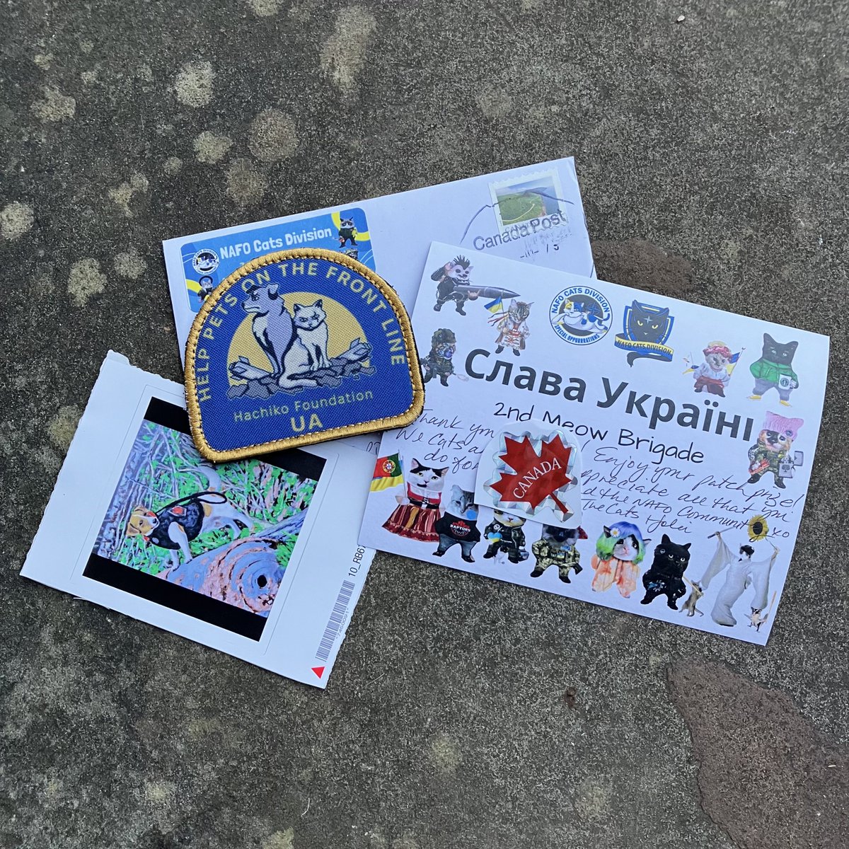 GMClarke21's tweet image. Yay! Look what arrived in the post today! π»π«Άππ
π @joliemackdotcom @natemook @Y_Stefanyuk
#NAFOCatsDivision
Donate to support the great work of hachikofoundation.org