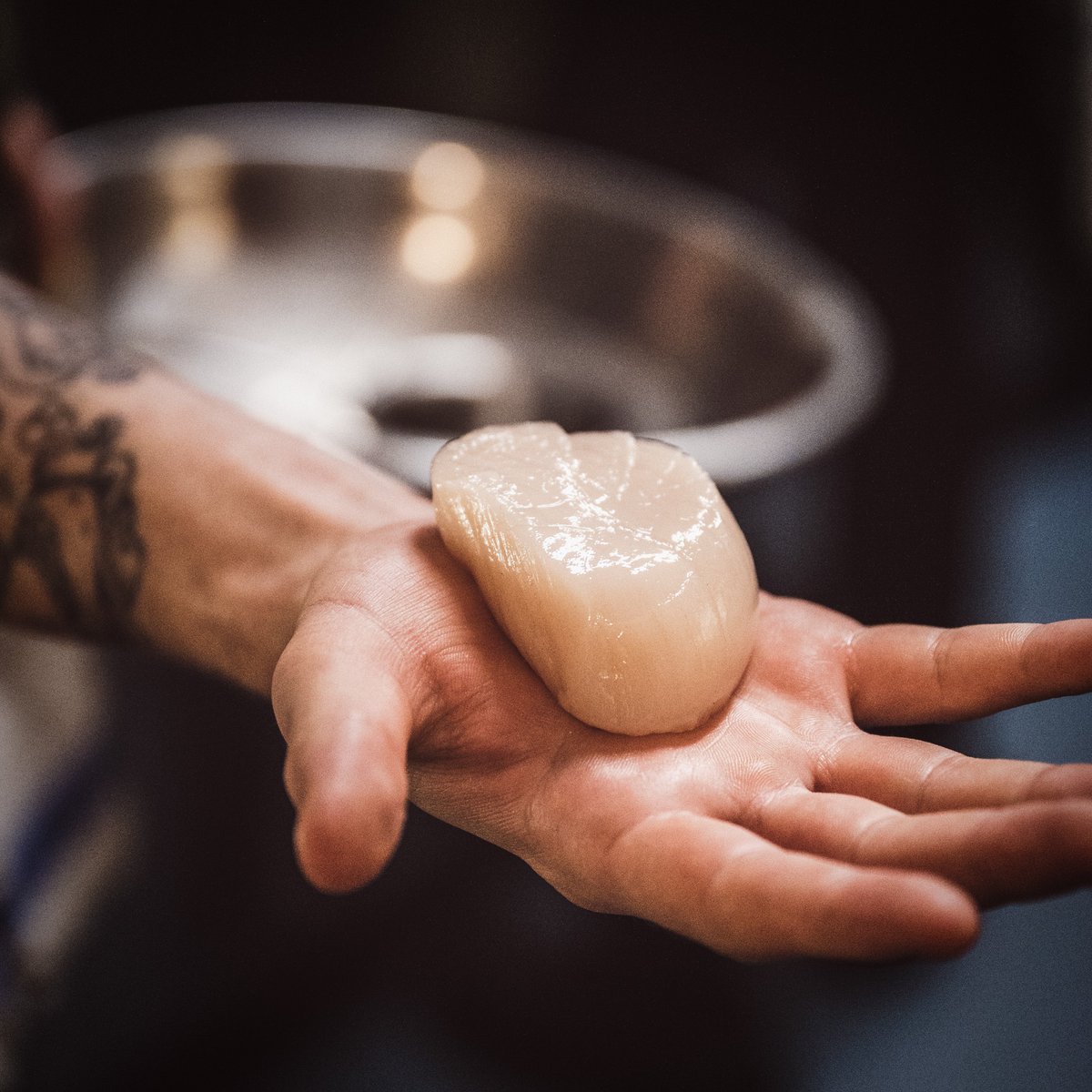 FhiorRestaurant's tweet photo. Using only the best produce we can get our hands on.
#michelinguide #bigscallop #smallhand #handdived #orkney #restaurants #handmodel https://t.co/cJmW65QE8z