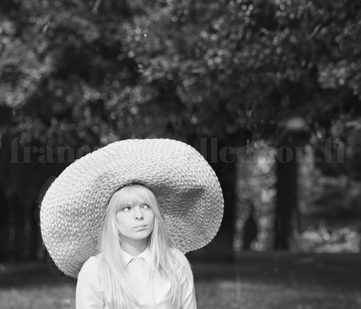 France Gall Collection tweet media