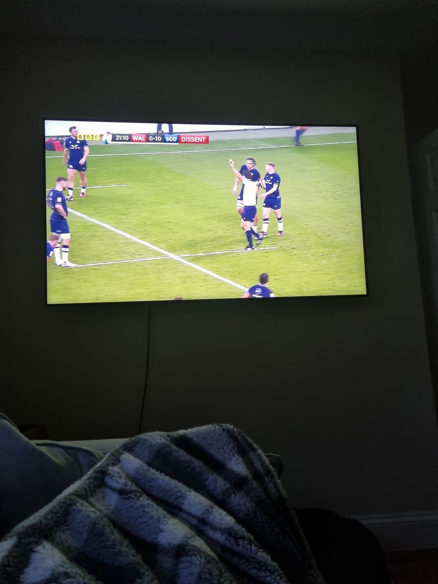 Not moving! #WALvSCO #SixNations