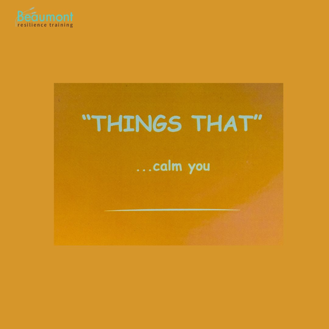 'Say What?' Resilience card game is a game-changer! Perfect for both kids and adults,'Say What?' is the ultimate way to bond with your family, build a stronger team at work, or just have heaps of laughter with friends. 🎲❤️

#ResilienceIsFun  #TeamBuilding #FunLearning