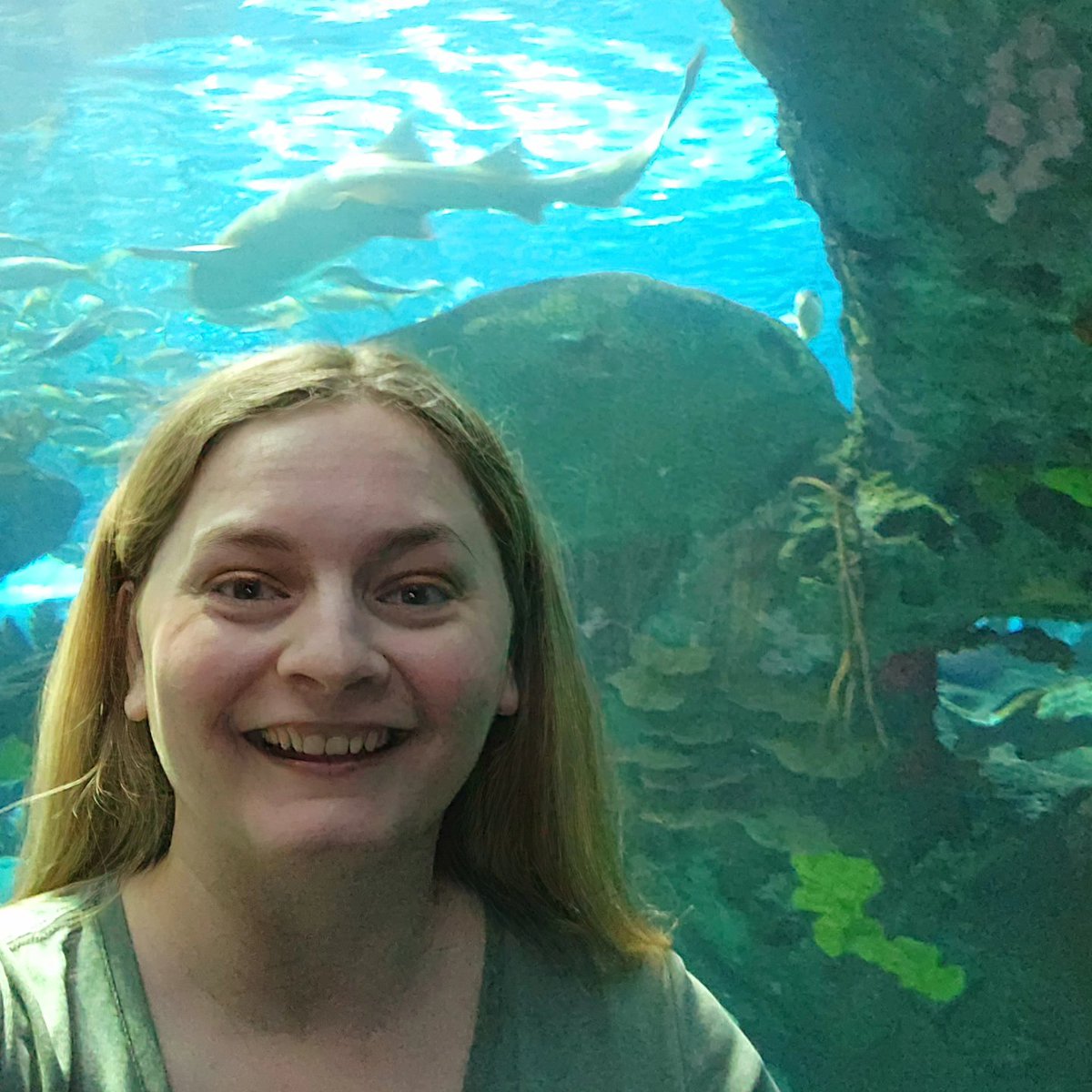 I may have had a little too much fun @RipleysAquaCA 😁🥰🐠🐟🦈 #ripleysaquarium #ripleysaquariumofcanada #canadianaquarium #funwithfish #funwithsharks