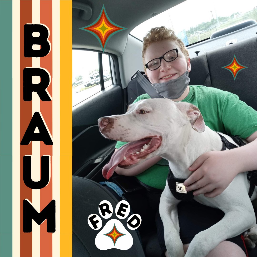 SCN8AAlliance's tweet photo. Shoutout to Braum, our #SCN8ASuperhero from Dayton, OH! ๐ Facing challenges with a brave heart, he still finds time to rescue animals & keep everyone laughing. Plus, he's a horror game creator in the making! #SCN8AAwareness #SCN8AStrong
#SCN8A Visit us at https://t.co/BflU5Oo0re https://t.co/UdaGv8562Z