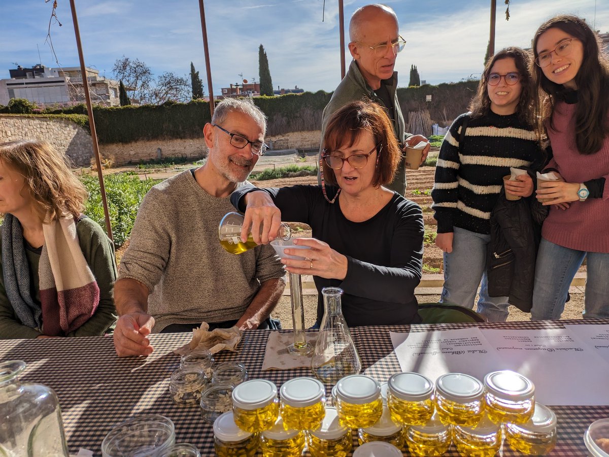 jsolemercade's tweet photo. Herbarius. Plantes remerieres a l'hort medieval @MPedralbesBCN Avui hem fet tast d'infusions, oli de malví i xarop d'anís, regalèssia i marduix. #hortmedieval https://t.co/hdQQIw8TL7
