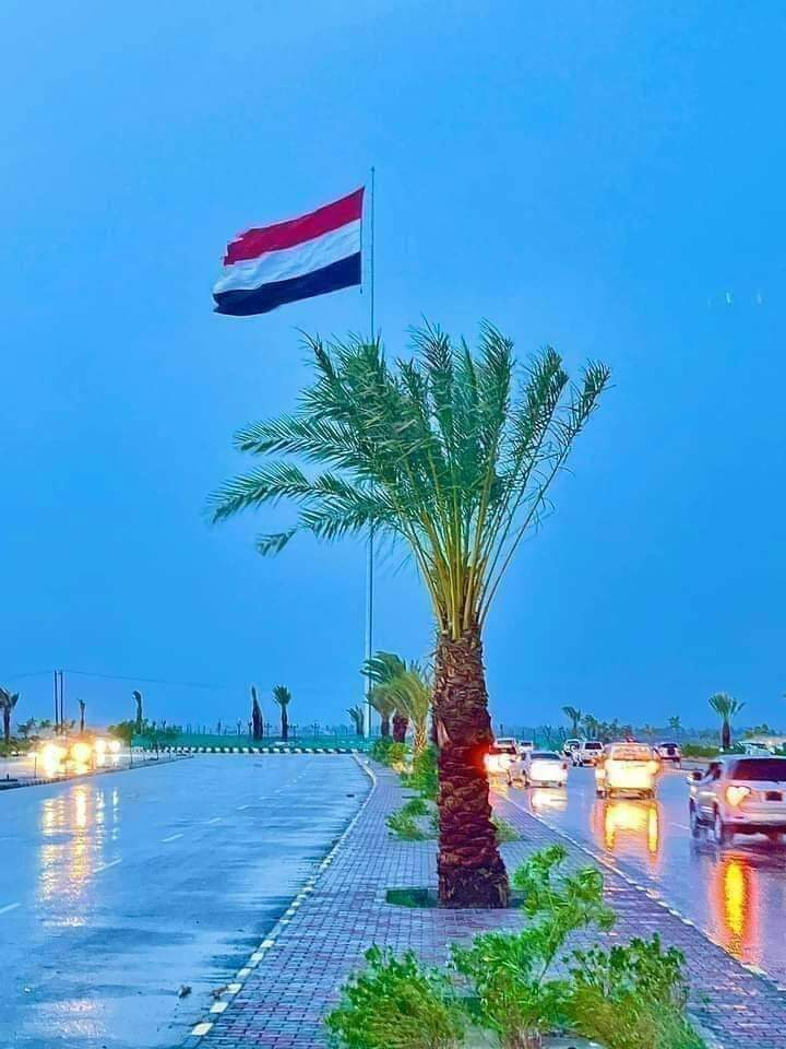 Fh20200's tweet photo. قال شيخ الإسلام ابن تيمية رحمه الله تعالى :-
"فلما ارتد من ارتد عن الإسلام؛ أتى الله بأهل #اليمن الذين يحبهم ويحبونه، فقاتل الصديق بهم أهل الردة، وغلب بهم أبو بكر وعمر كسرى وقيصر!".💜🍂

- https://t.co/PRwZh2dUZm