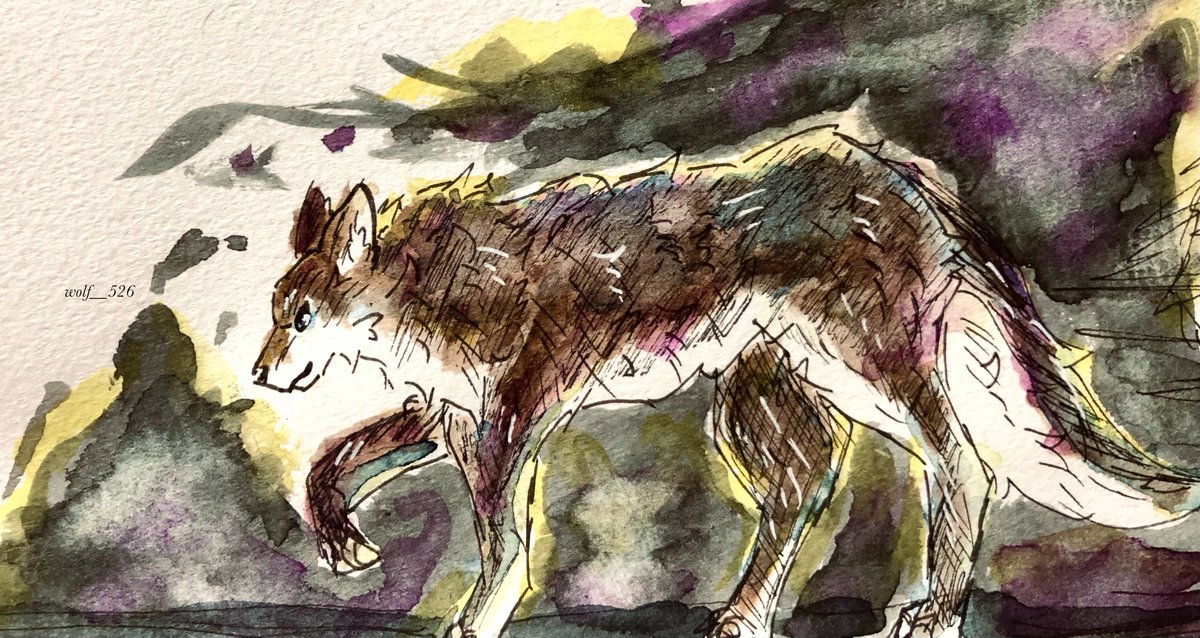 らくがき
#狼 #水彩イラスト #らくがき #ヴォルフのアート #watercolor #wildlifeart #wolfart