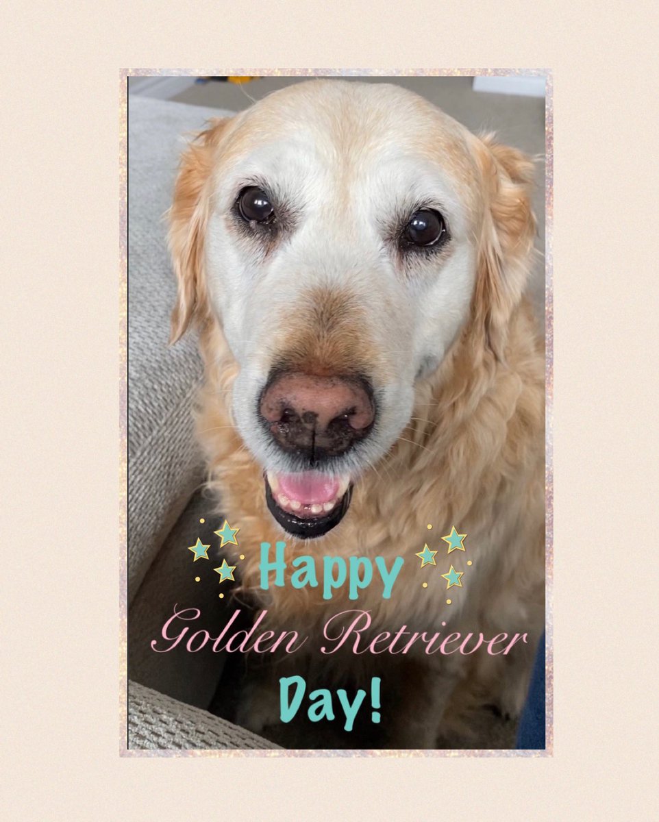 Happy #GoldenRetrieverDay! 💖🐾🎉