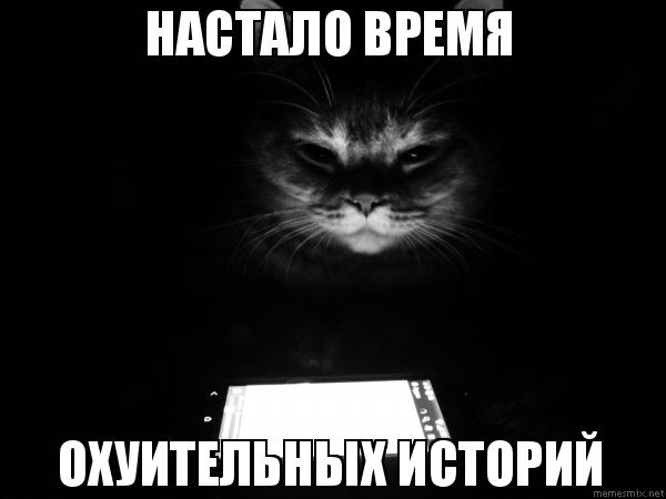 Pferd stampft tweet media