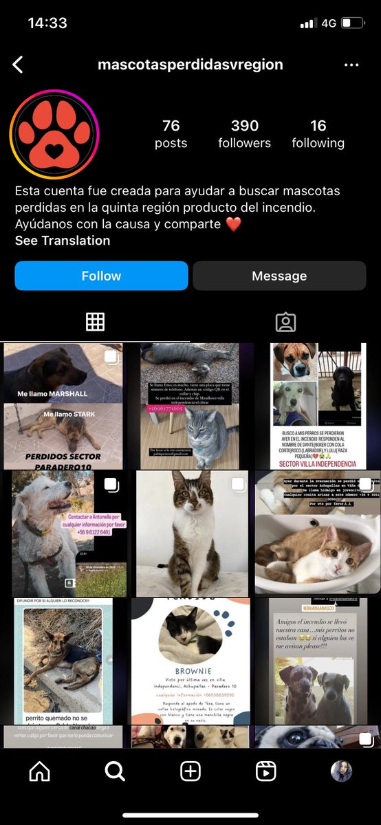 bárbara tweet media