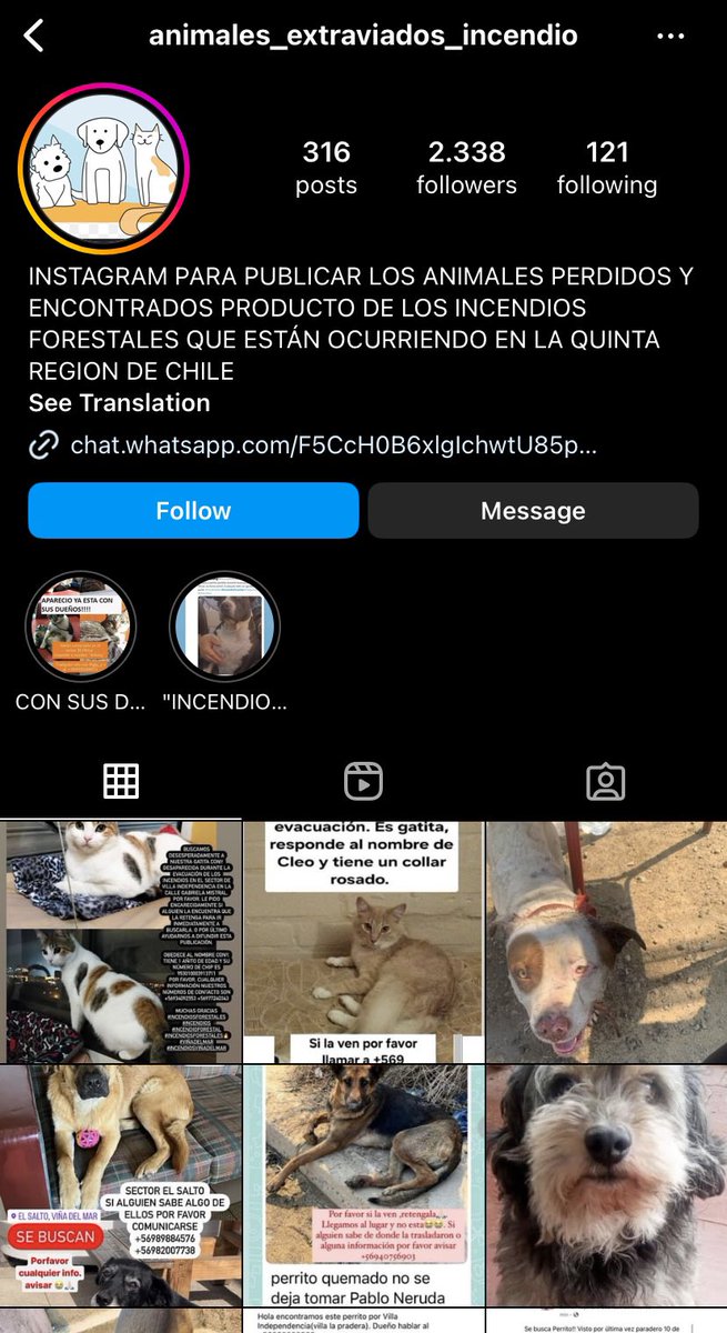 bárbara tweet media