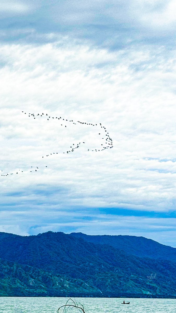 mhdhamad's tweet image. My heart swims with joy when I see birds and waves. 😊

📍 Matema Beach, Kyela 🇹🇿