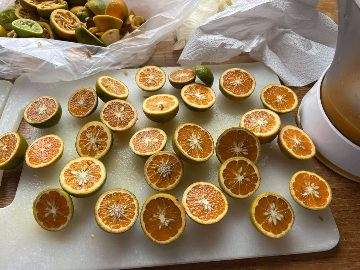 Mangarinen-Marmelade. #homegrown