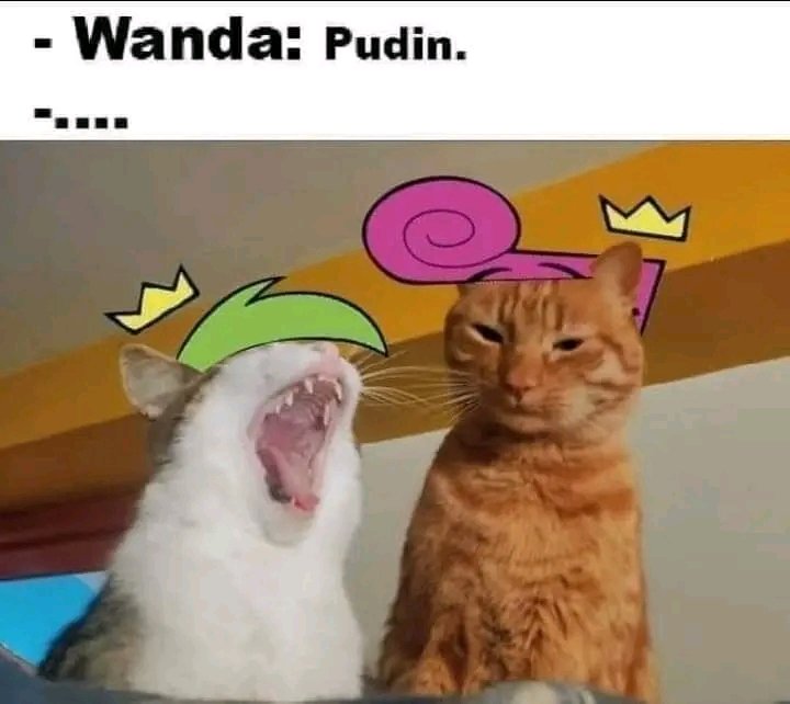 Lucho Portuano (@srluchoportuano) on Twitter photo 