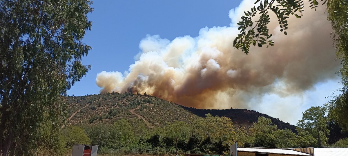 pitufina_2013's tweet photo. Cerro alto el manzano, las cabras #conaf , #chilevision https://t.co/spqIaUwz6F